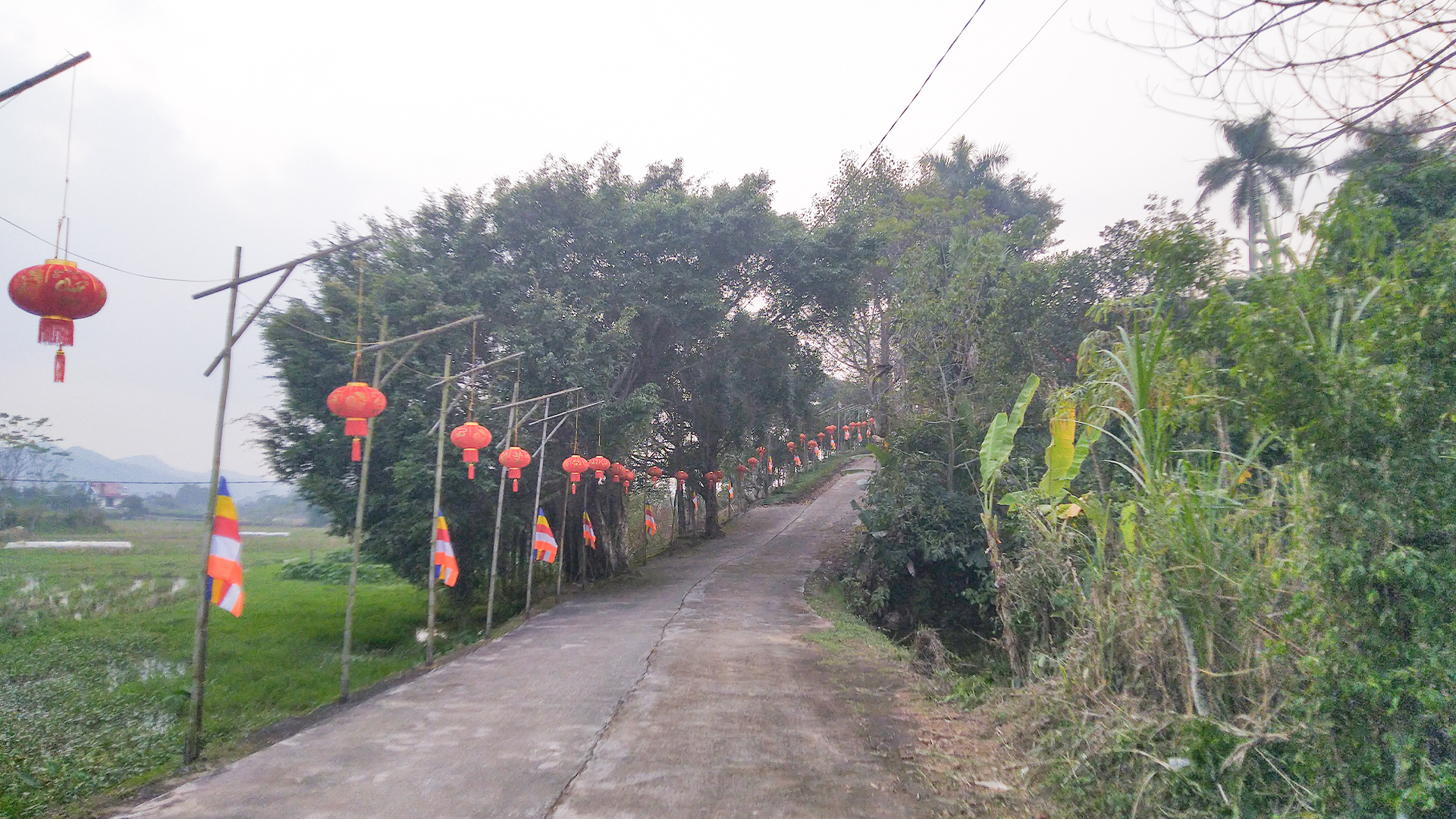 2_Lối Lên Chùa.jpg